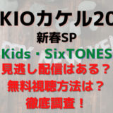 TOKIOカケル2023新春SP(KinKi Kids/SixTONES)の見逃し配信&無料視聴方法まとめ