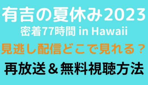 有吉の夏休み2023の見逃し配信はどこで見れる?再放送や無料視聴方法まとめ